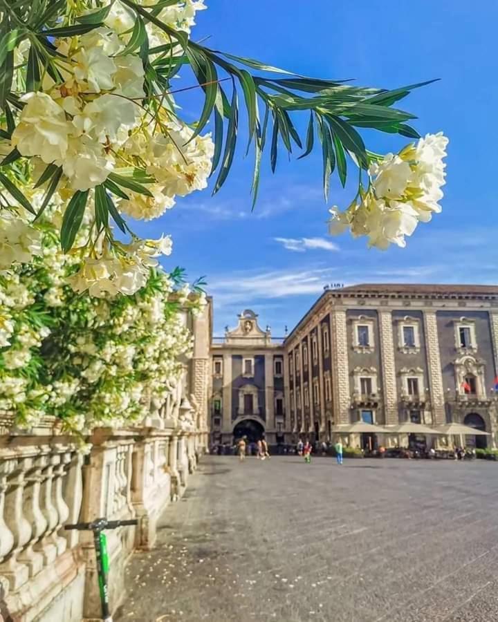 Ferienwohnung A Casuzza CTA Exterior foto